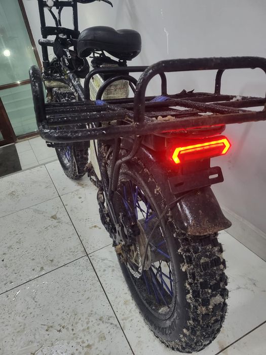 Электровелик леопард