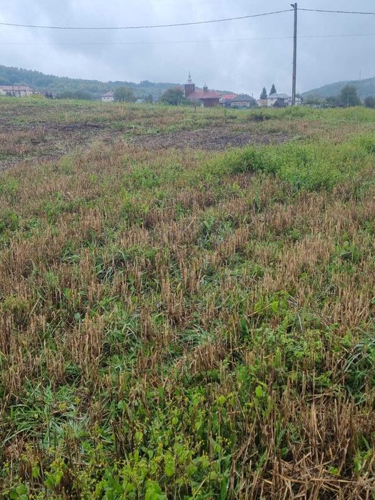 Vând teren intravilan