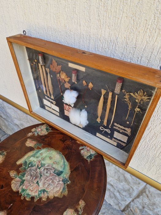 Страхотно антикварно пано - Влакнодайни култури