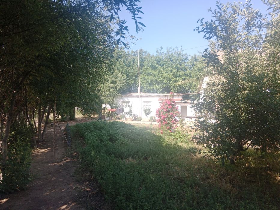 Ташкент в Бука Бука мфй қудайқул махалласи