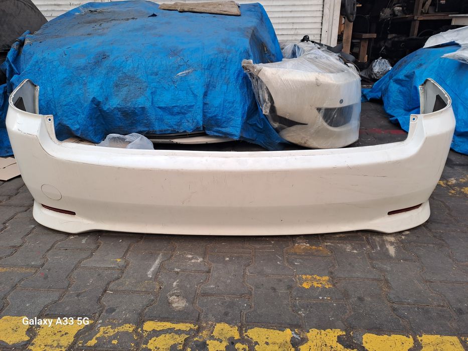 Ноускат для Ипсум