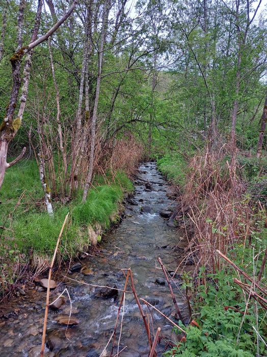 Teren-5000 mp pe drumul spre Muntele Gaina