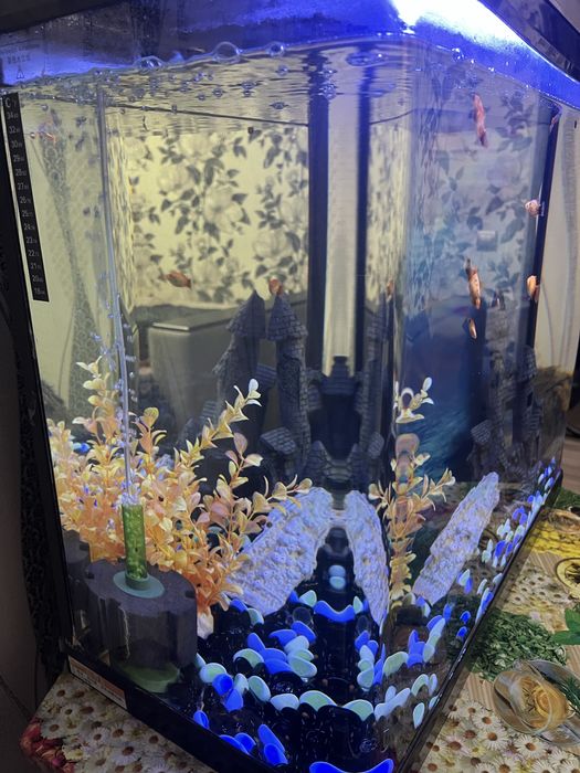 Продаем аквариум с рыбками