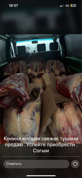 Конина говядина