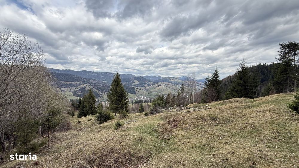 Teren izolat fără vecini, inconjurat de pădure, 1.02 ha