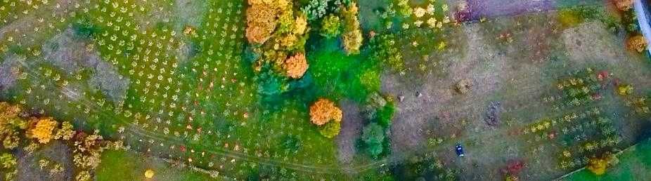 vând teren (livadă tânără) în municipiul Câmpulung