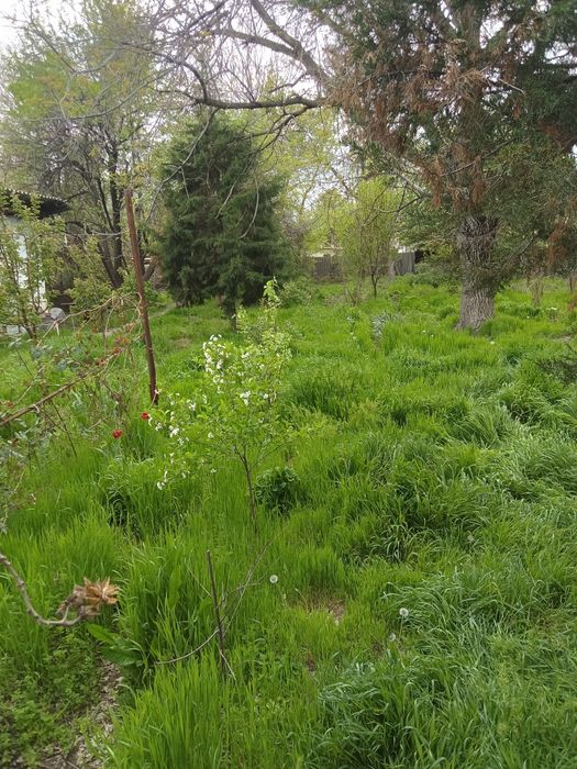 Жилой дом в городе Сарыагаш