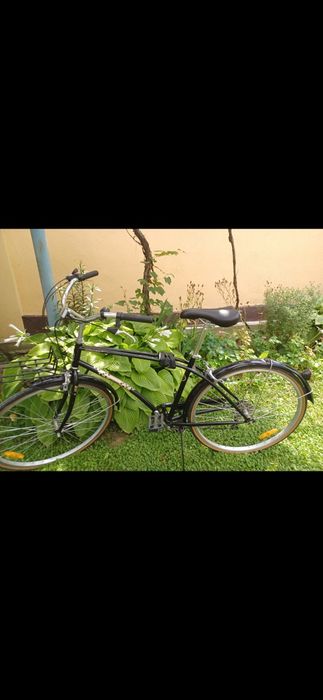 Vand bicicleta Pegas