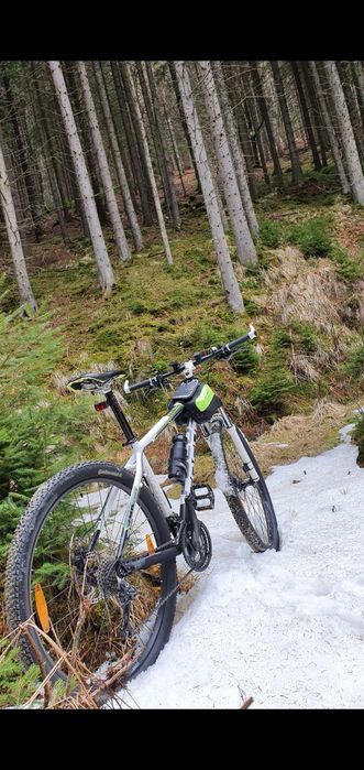 Focus BlackForest 29r