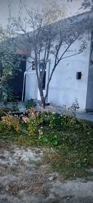 Садриддин Айни 5-соток.Очень срочно продаётся дом!