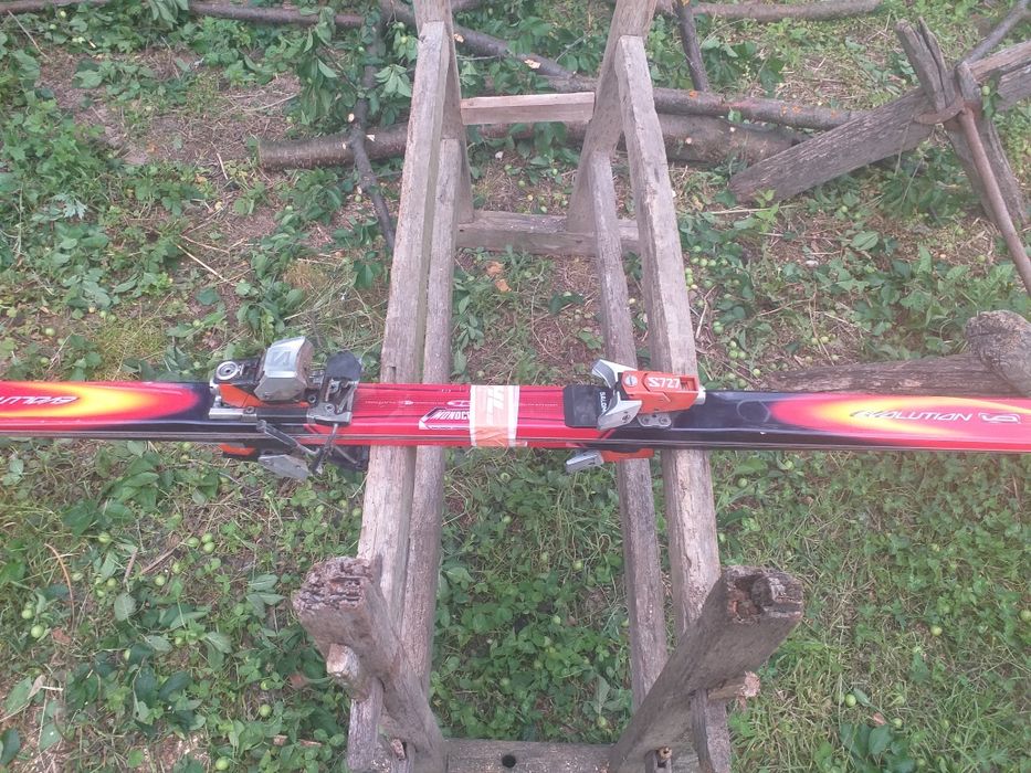 Schiuri Solomon  evulution S727