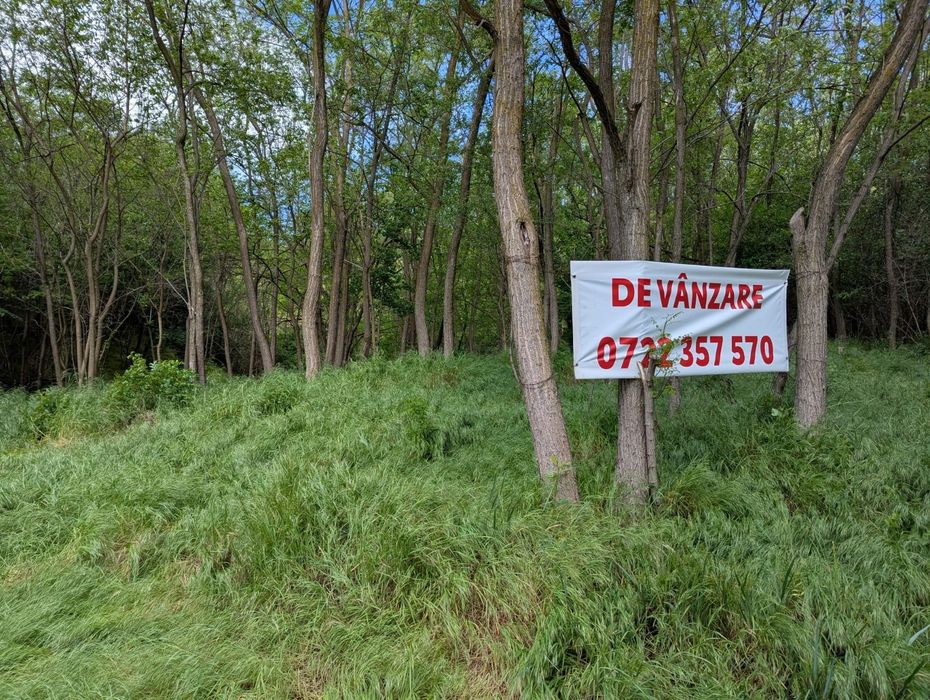 Vand teren intravilan in Bujoreni