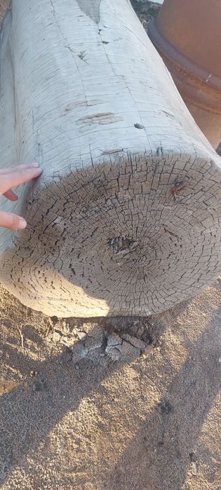 Чурбак для мяса из карагача