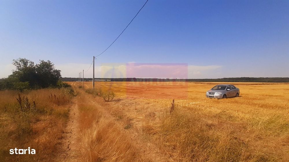 Teren pentru casă/case în Brănești pe strada Toporași