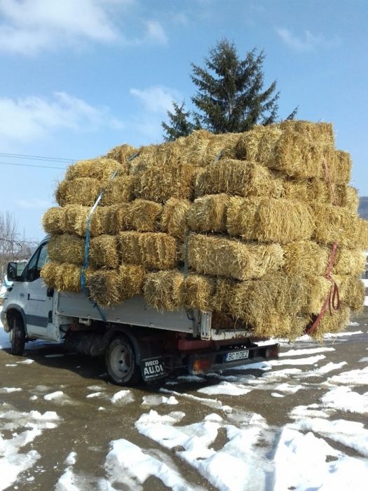 Vind baloți de grîu și ovăs, prețul variază  în funcție cantitate 0741