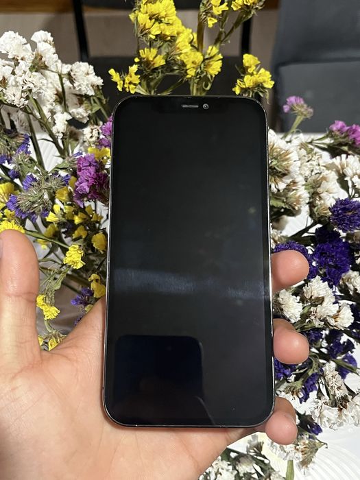 iPhone 12 Pro