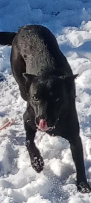 Добрые любящие руки