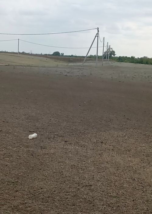 Продам земельный участок