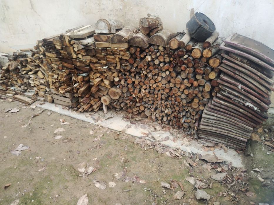 Otin quruq mevali darxt va taxtalar, утин