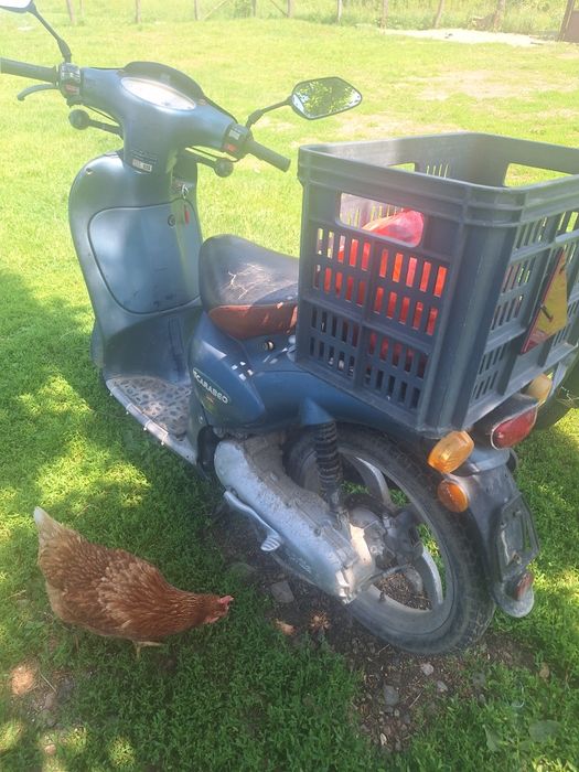 Vand scuter Aprilia Scaraebo