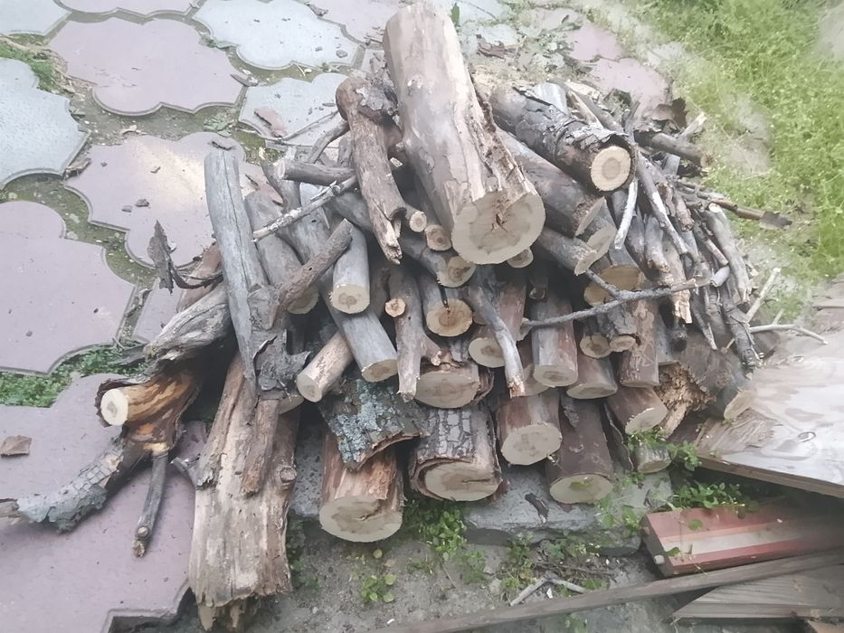 Дрова карагач сухие