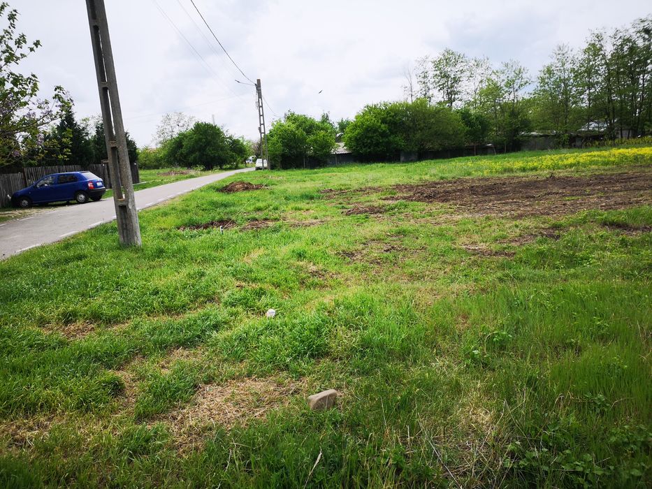 Teren vânzare intravilan Gurbănești județul ilfov