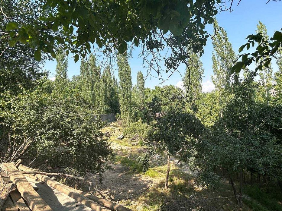 Sijjak, Chorvoq yaqinida yer uchastkasi sotiladi / Земля у Чарвака