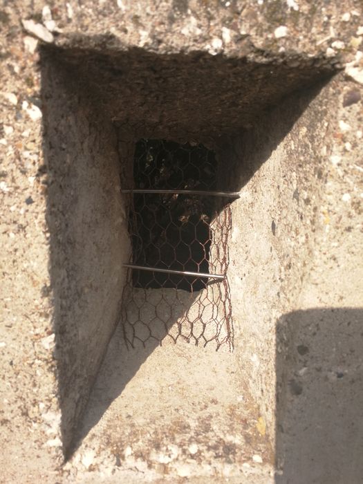 Почистване на тавани"подпокривно пространство" от гълъби