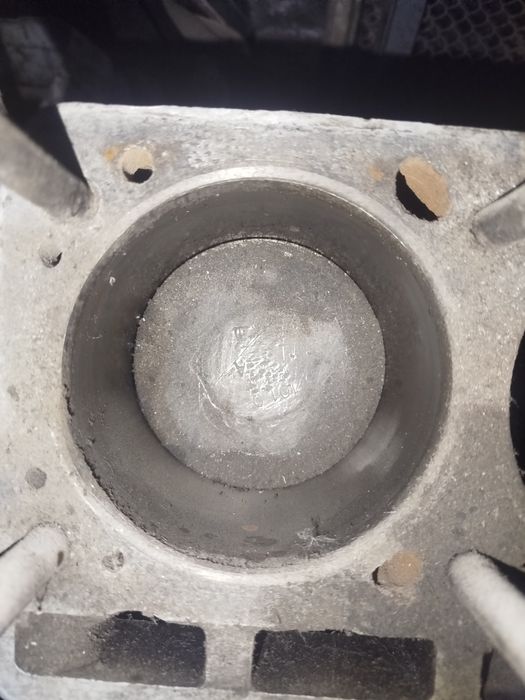 Gazel Sotka Bilok sotiladi