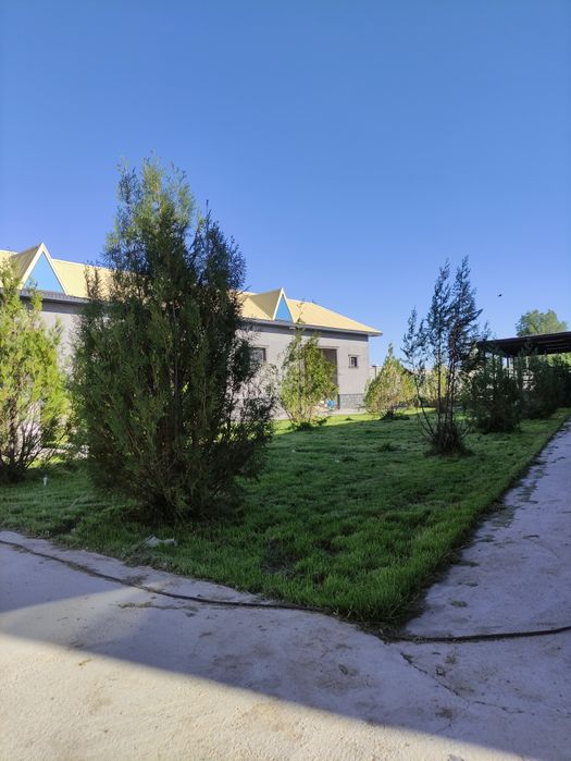 Газон егеміз кв 1000 тенге