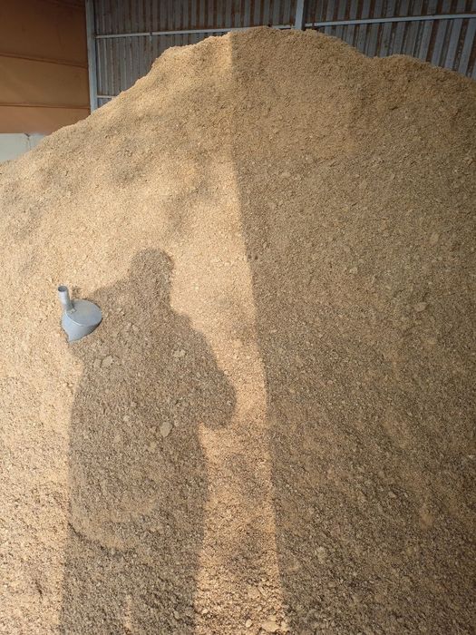 Kunjara optom narxlarda