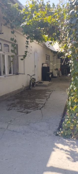 Yangihayot tumanida uchastka sotiladi