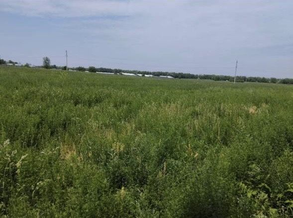 Поля на продажу