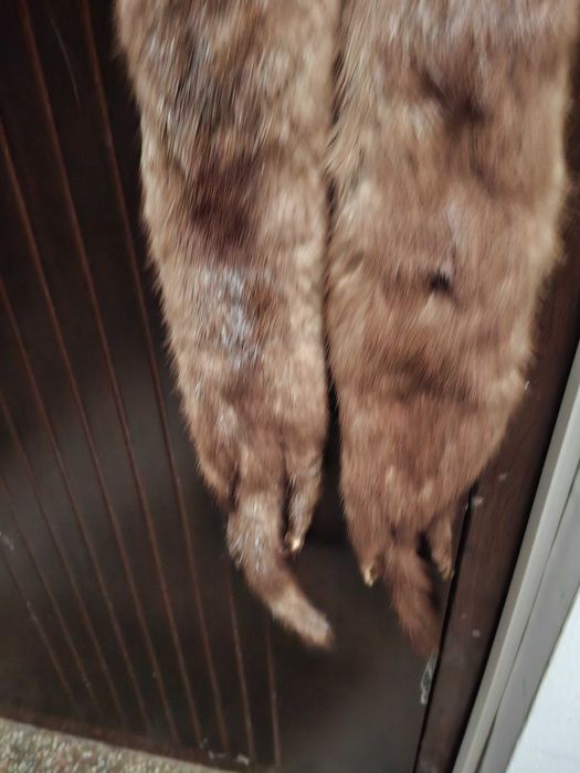 vand guler pereche nurci