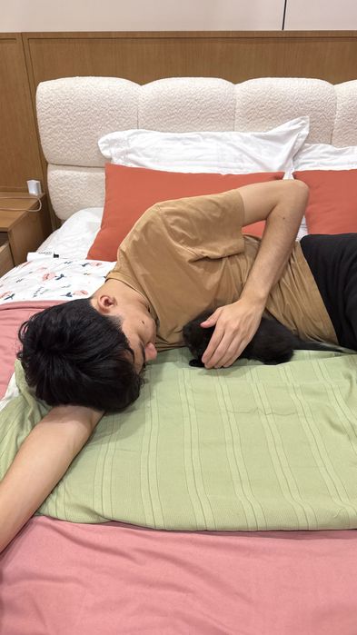 Котенок Скоттиш Фолд