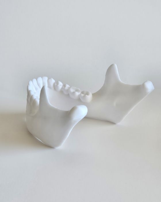 3D Принтиран анатомичен модел на череп