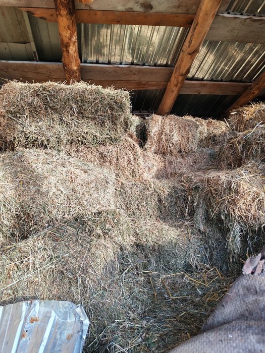 Baloți de lucernă și de paie