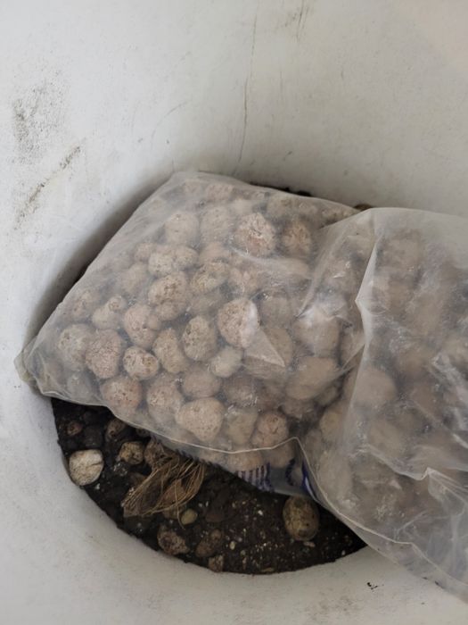 Все  для разведения цветов