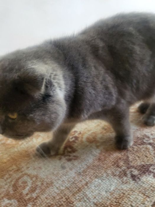 Torjokda bepul jinsiy aloqa