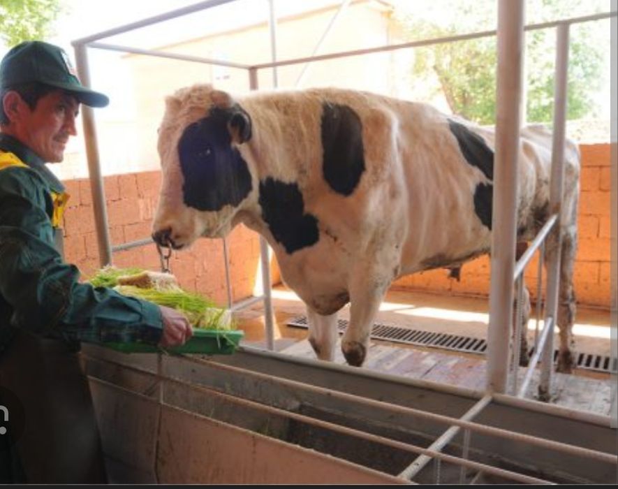 Гидропоник ем. Органик ем.