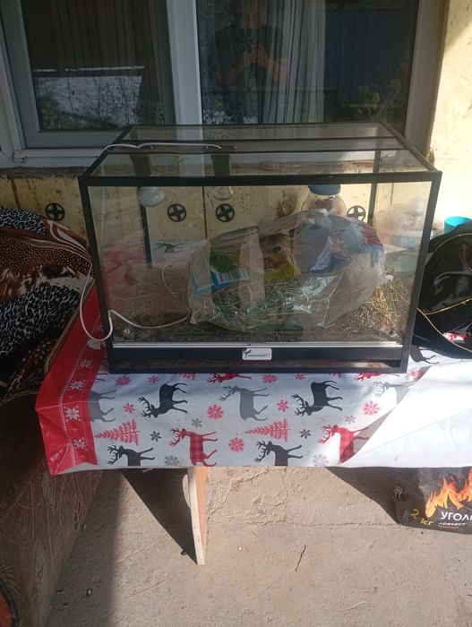 Продам Террариум