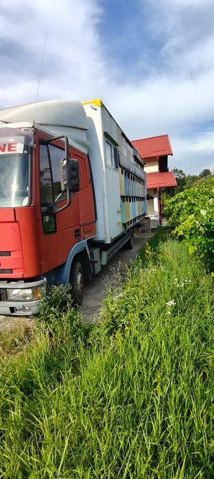 Camion Apicol Iveco