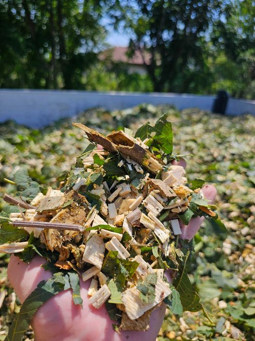 Услуги с дробилка за разчистване на клони (дробилка под наем)