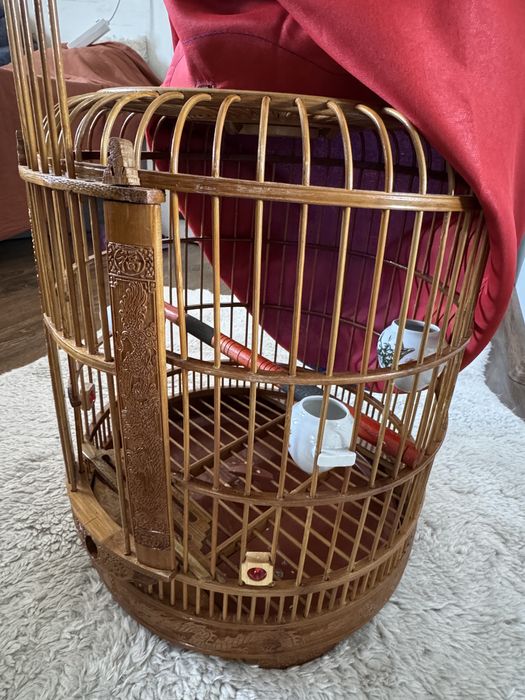 Cusca pasari de talie mica si medie Thailandeza