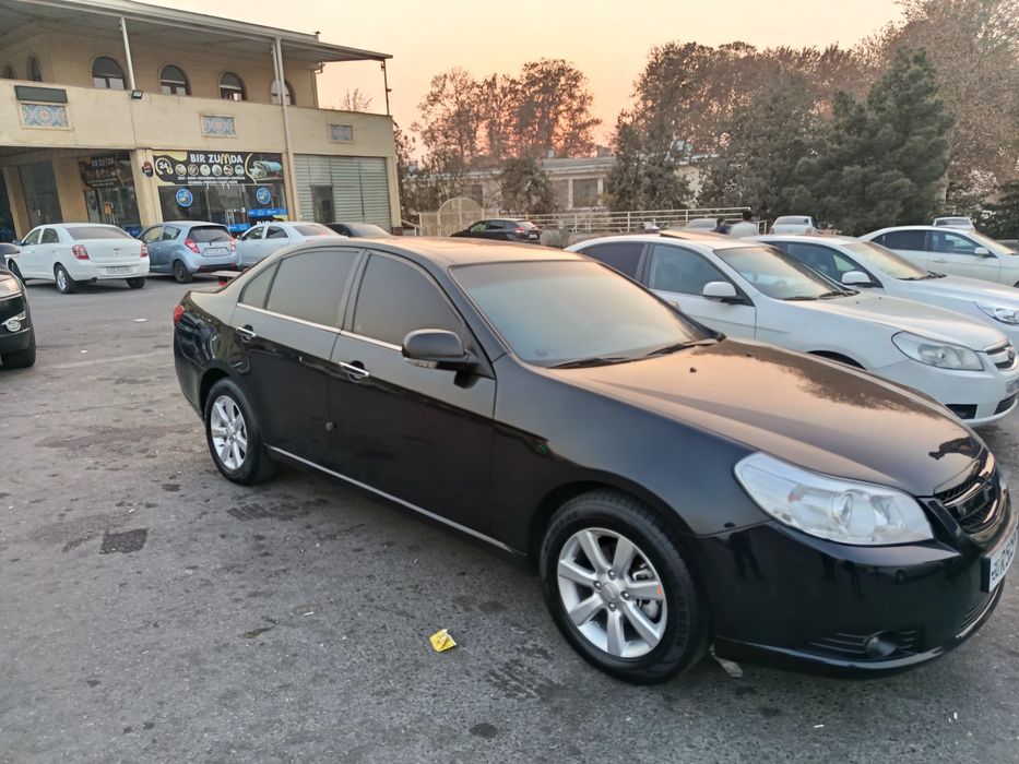 Epica sasteyanisi zur