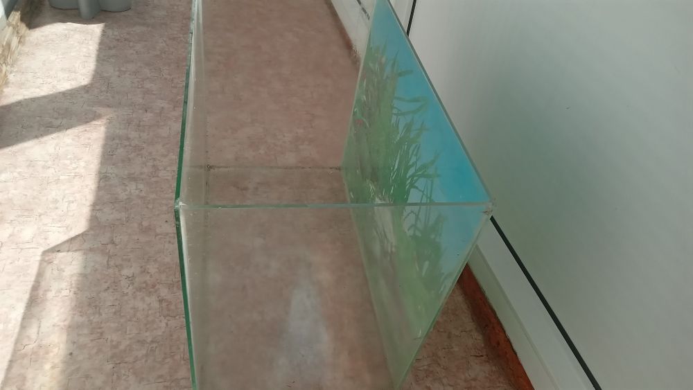 Продам аквариум.