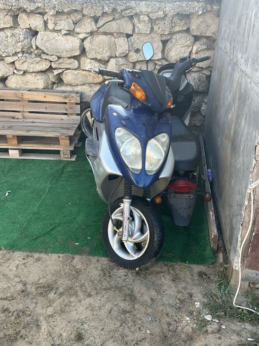 Pegasus sky 125 и Shark 50