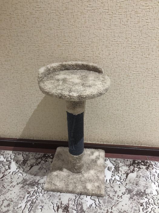 Когтеточка для кошек 60см