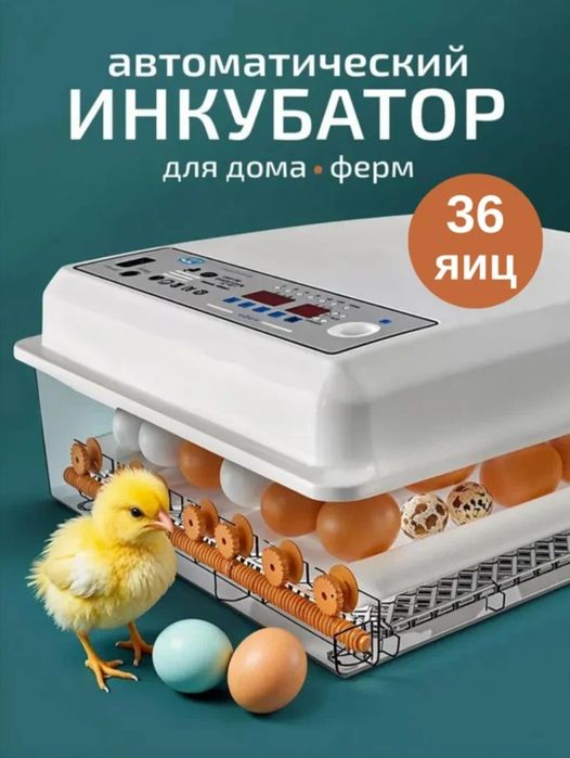 Inkubatorlar sotiladi
30 va 36 ta tuxum sigʻimliklari ma