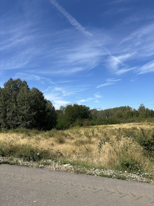 Teren extravilan  4.200 MP – BERCEȘTI (SITEȘTI-CERNĂDIA)